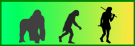 Image of evolution time line